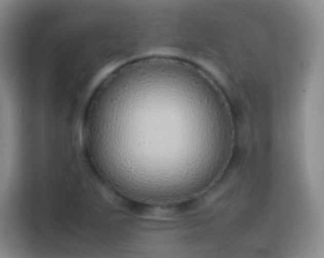 X0000113781271200909301142