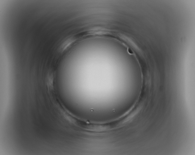 X0000113781273200909301142