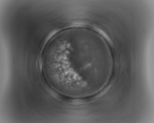 X0000113781275200909301142