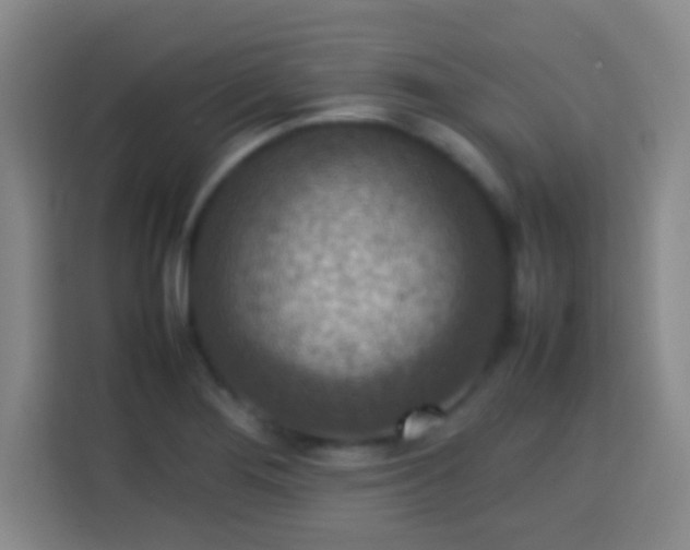 X0000113781276200909301142