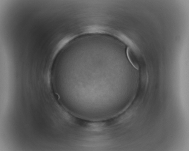 X0000113781277200909301142