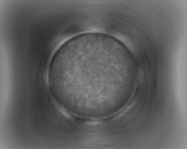 X0000113781278200909301142