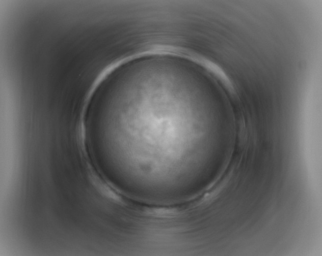 X0000113781280200909301142