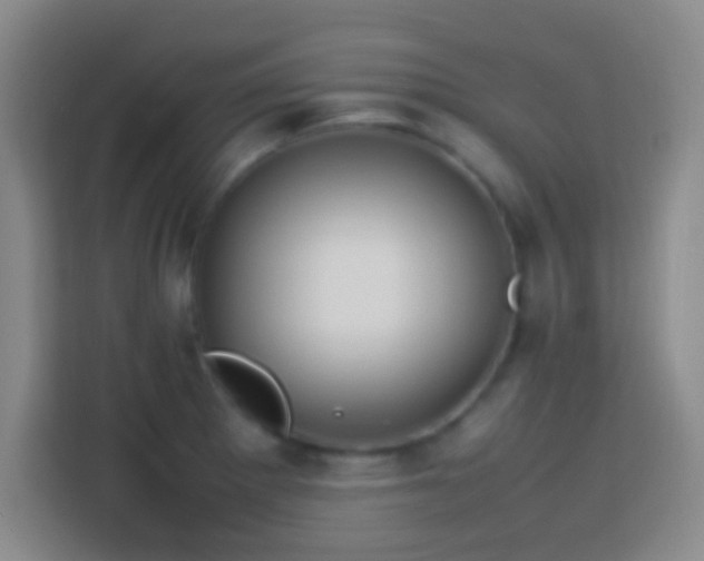 X0000113781281200909301142