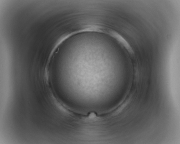 X0000113781284200909301142