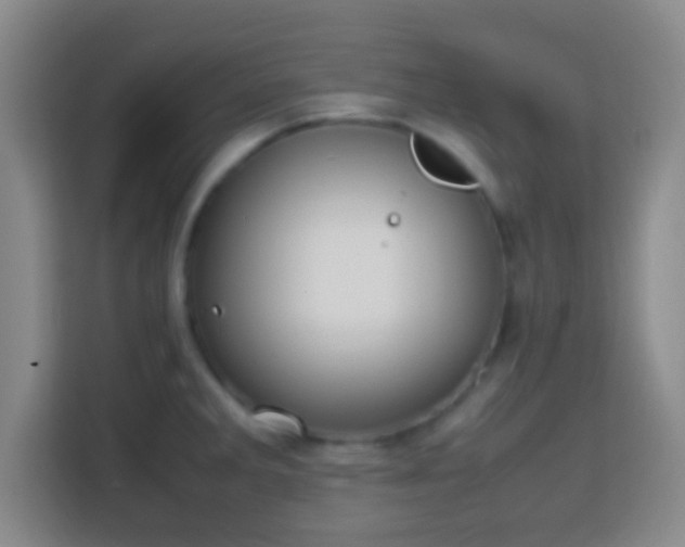 X0000113781285200909301142