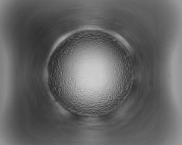X0000113781287200909301142