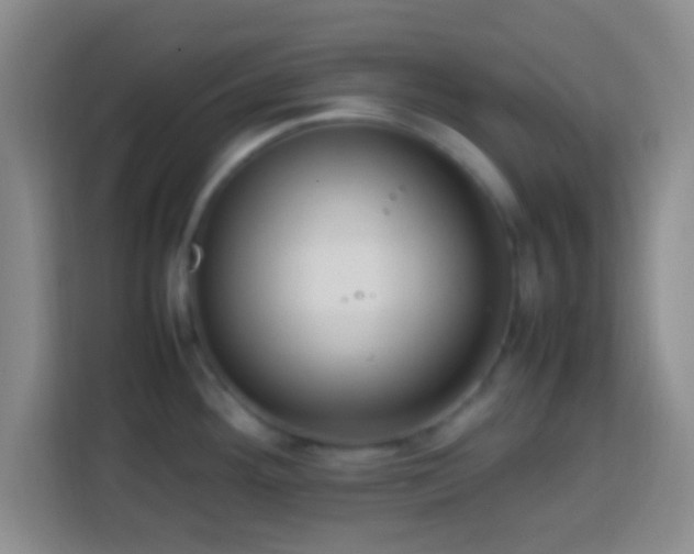 X0000113781292200909301142