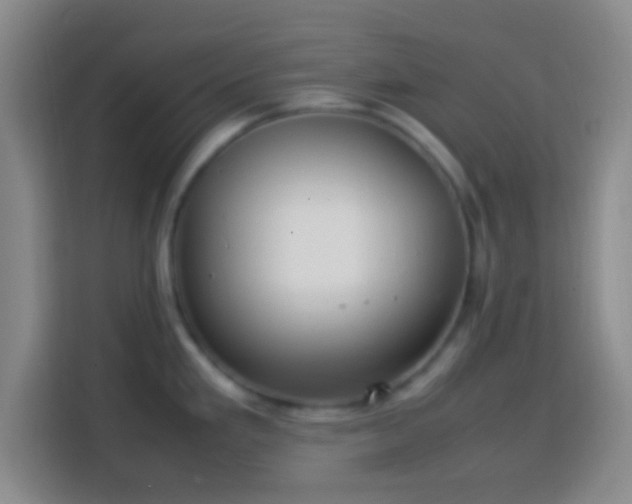 X0000113781293200909301142