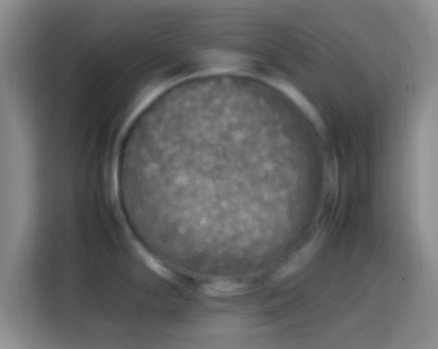 X0000113781294200909301142
