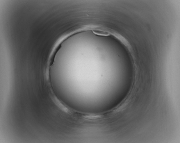 X0000113781296200909301142
