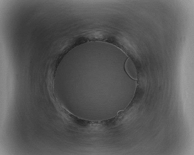 X0000113781297200909301141