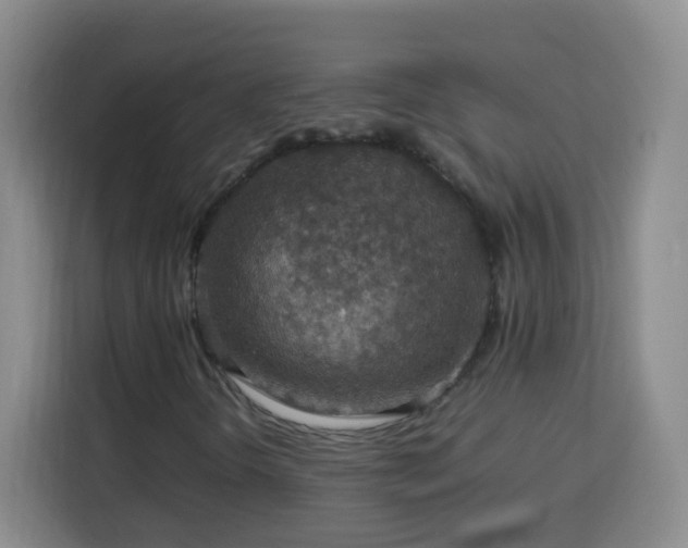 X0000113781298200909301141