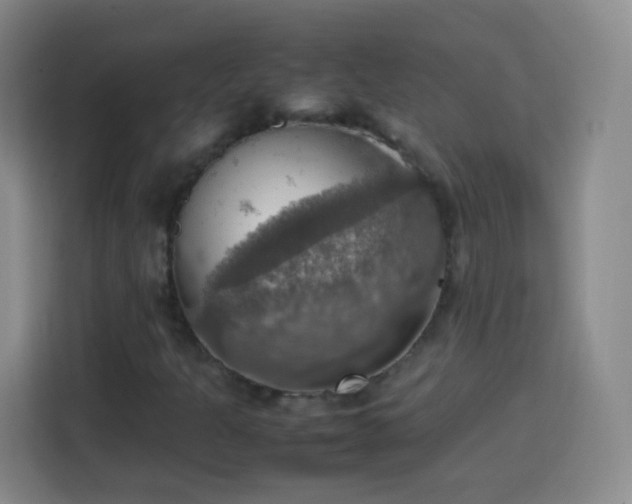 X0000113781301200909301141