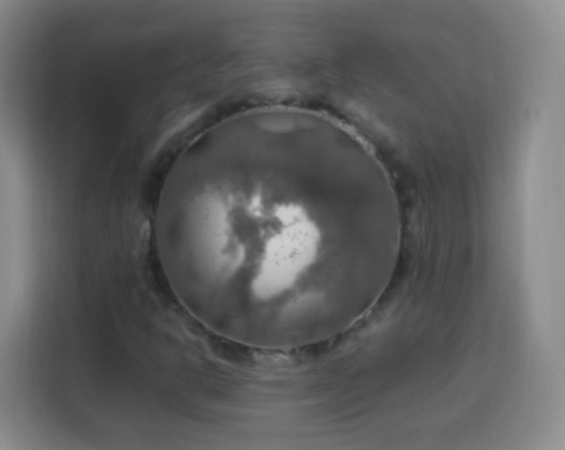 X0000113781302200909301141