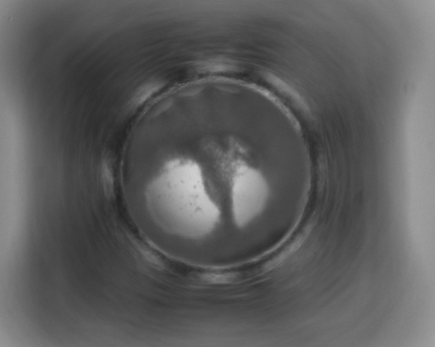 X0000113781305200909301141