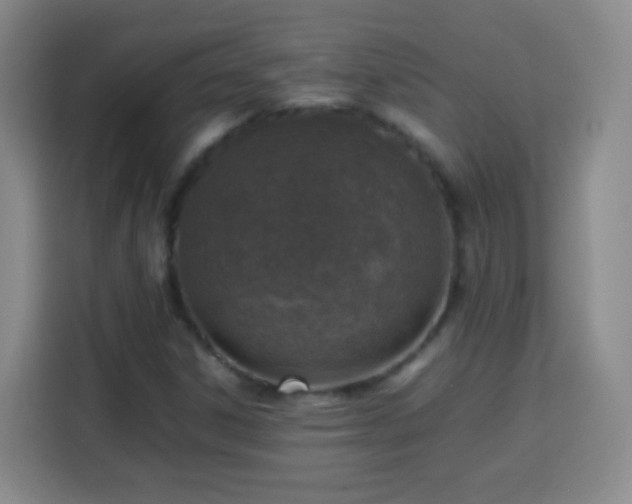 X0000113781306200909301141