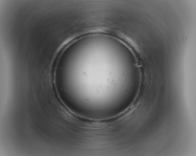X0000113781308200909301141