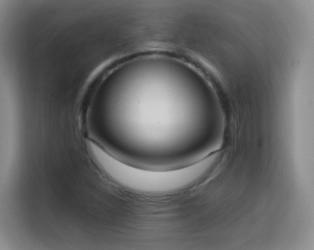 X0000113781310200909301141