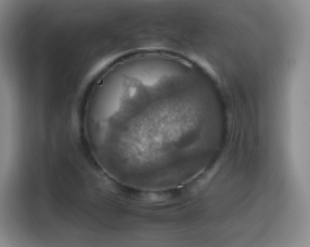X0000113781311200909301141