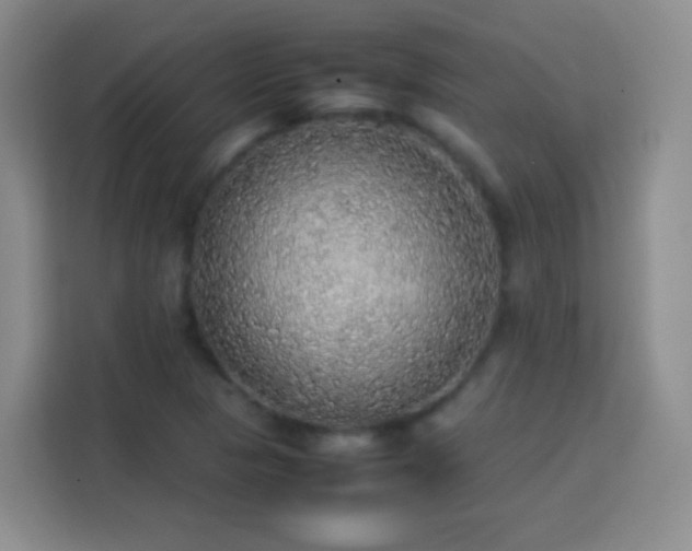 X0000113781313200909301141