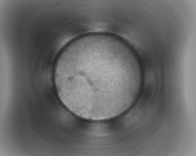 X0000113781314200909301141