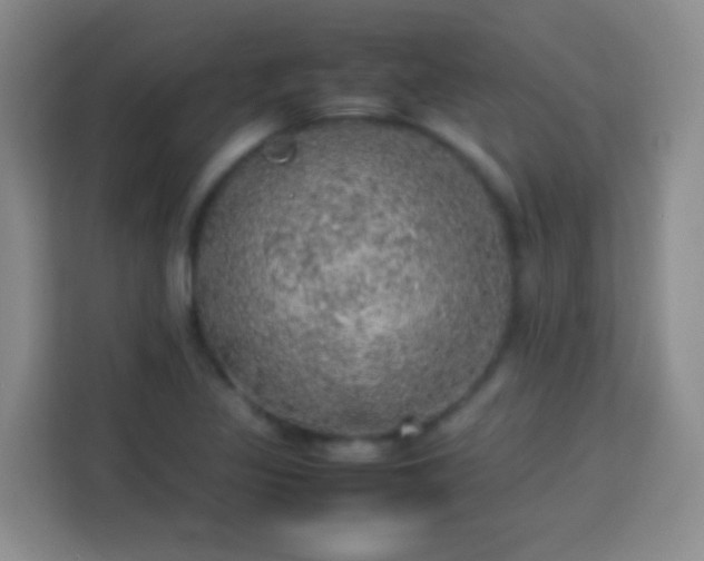 X0000113781317200909301141