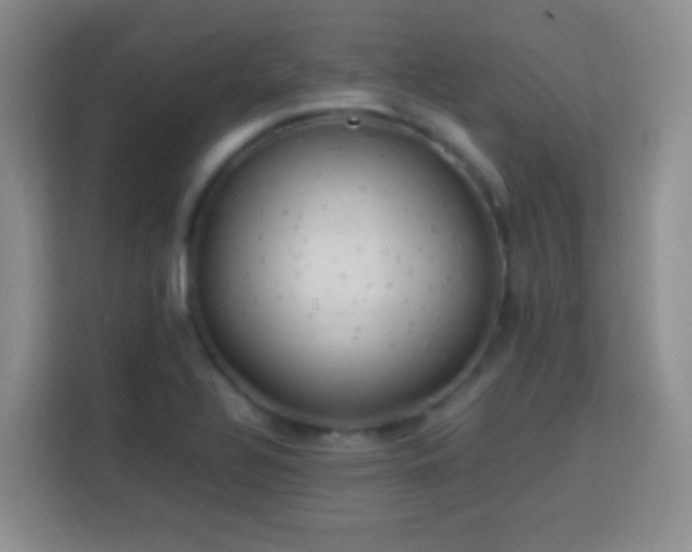 X0000113781320200909301141