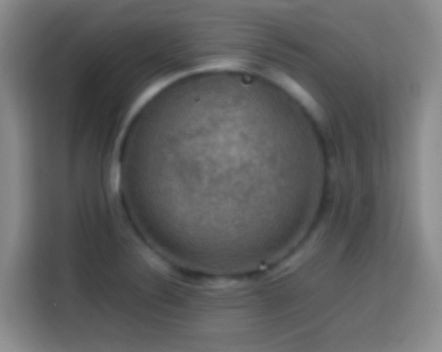 X0000113781324200909301141