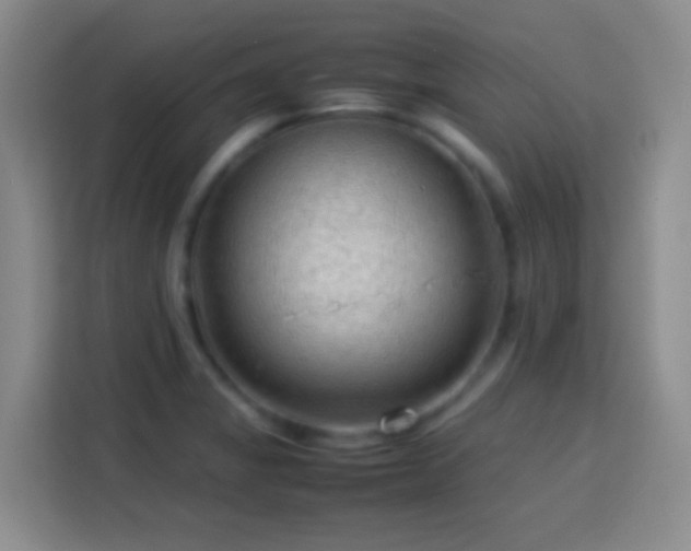 X0000113781325200909301141