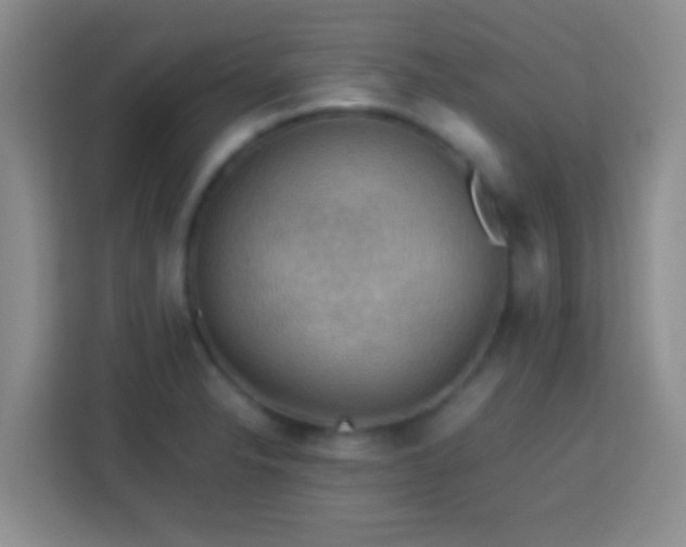 X0000113781326200909301141