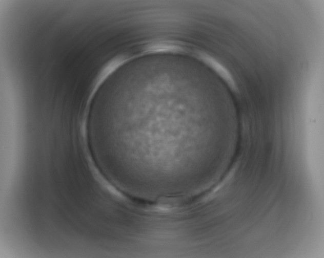 X0000113781330200909301142