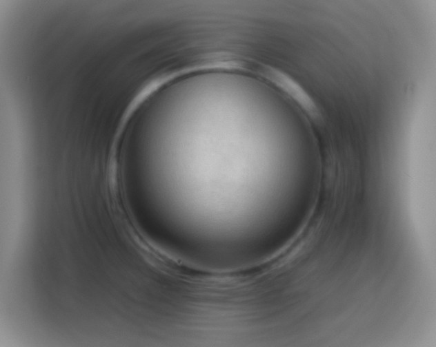 X0000113781332200909301142