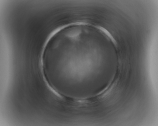 X0000113781335200909301142