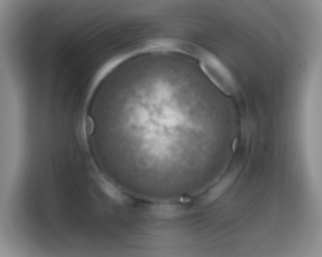 X0000113781336200909301142