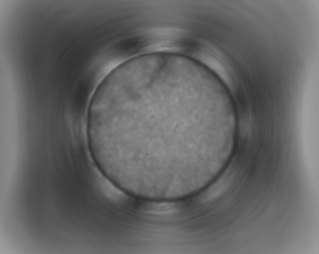 X0000113781338200909301142