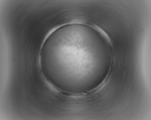 X0000113781340200909301142
