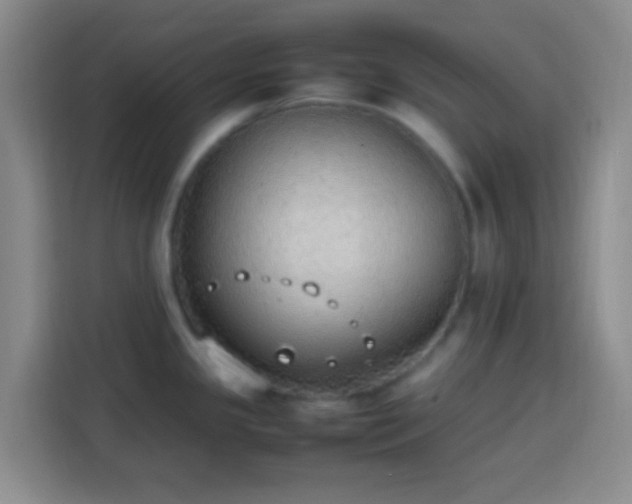 X0000113781341200909301142