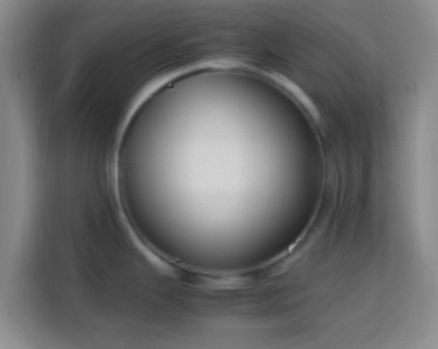 X0000113781343200909301142