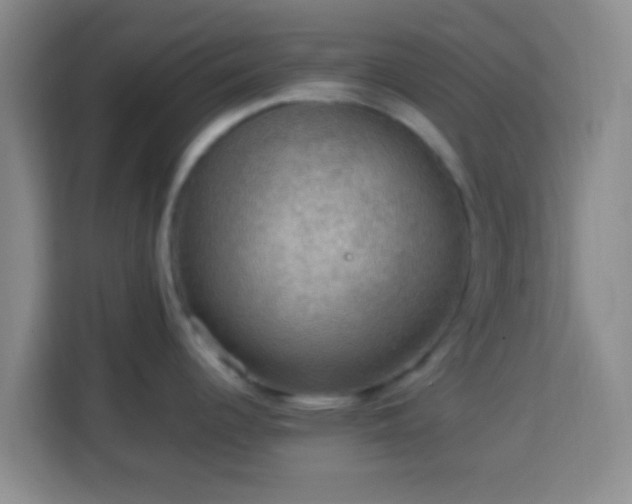 X0000113781344200909301142