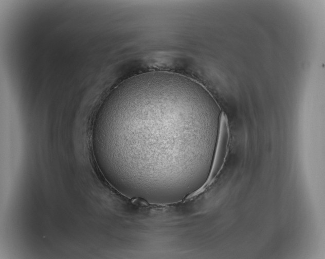 X0000113781345200909301141