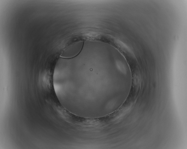 X0000113781346200909301141
