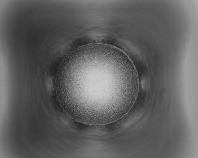 X0000113781347200909301141