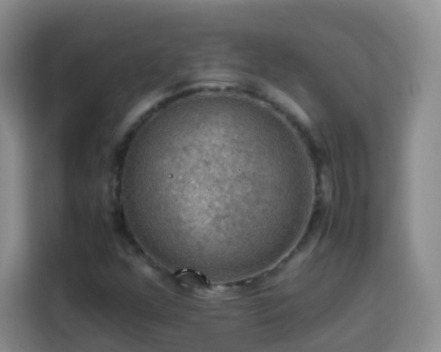 X0000113781352200909301141
