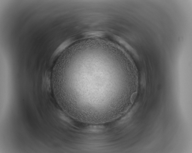X0000113781354200909301141