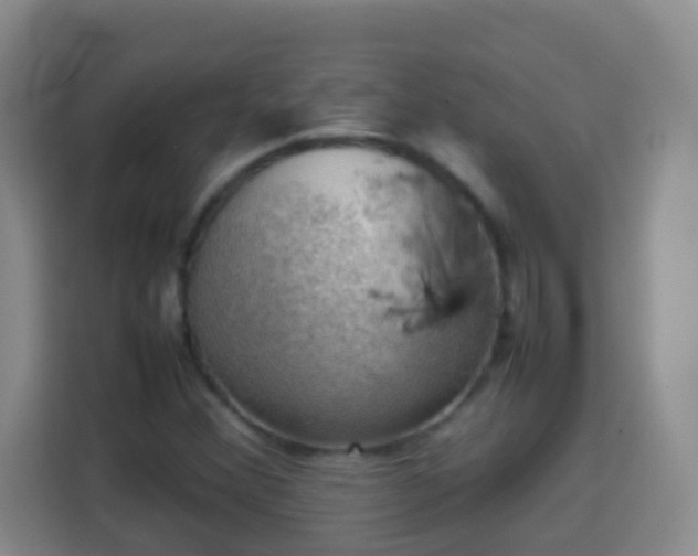 X0000113781356200909301141