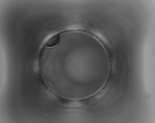 X0000113781358200909301141