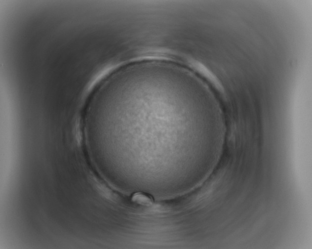 X0000113781360200909301141