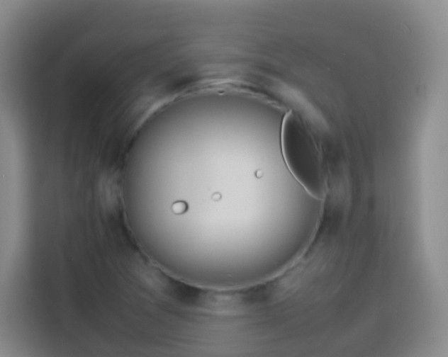 X0000113781361200909301141