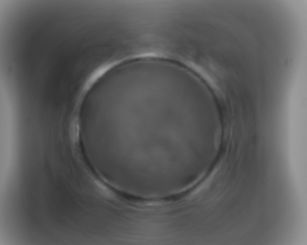 X0000113781367200909301141